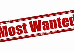 Image result for Most Wanted TV Show