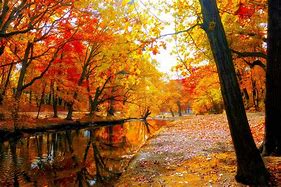 Image result for Beautiful Autumn Images