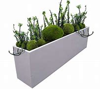 Image result for Rectangle Planter Box