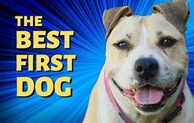 Image result for First Dog Movie