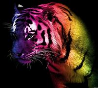 Image result for Cool Backgrounds for Boys Tiger