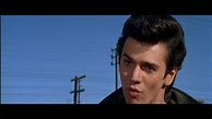 Image result for Maxwell Caulfield Grease 2 Leather