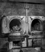 Image result for Concentration Camp Ovens