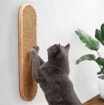 Image result for Cat Scratching Wall