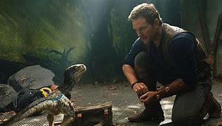 Image result for Jurassic Park Chris Pratt Raptor Scene