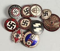 Image result for Nazi SS Uniform Badges