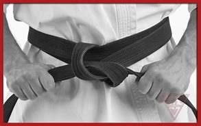 Image result for black belt karate
