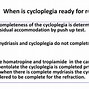 Image result for Cycloplegia Test