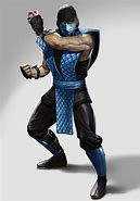 Image result for Sub-Zero From Mortal Kombat 9