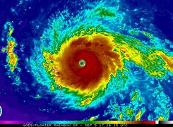 Image result for Hurricane Irma Facts