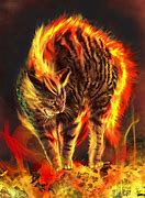 Image result for Magical Fire Cat