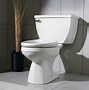 Image result for How to Flush a Toilet