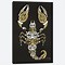 Image result for Scorpion Prints