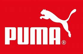Image result for Puma Hoodie Dress