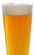 Image result for Pint of Lager PNG