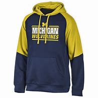 Image result for Michigan Wolverines 3D Hoodies for Men