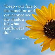 Image result for Brighten Your Day Love Quotes