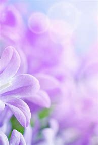 Image result for Spring Wallpaper Free for Kindle Fire