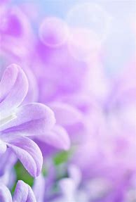 Image result for Flower Wallpaper for Kindle