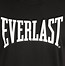 Image result for Everlast Tees