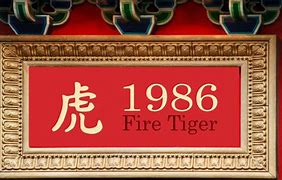 Image result for Chinese Fire Tiger