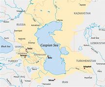 Image result for Caspian Sea Wildlife