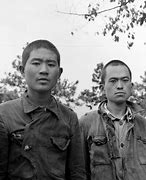 Image result for Korean War Prisoners