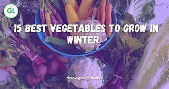 Image result for LG Signature Refrigerator Grow Vegetables