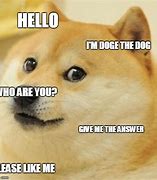 Image result for Answer Dog Meme
