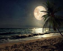 Image result for Beach Wallpapers Night Skies