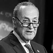 Image result for Pics of Schumer