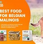 Image result for Belgian Congo Today
