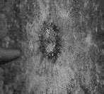 Image result for Dented Bullet