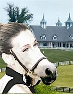 Image result for Horse Face People