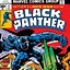Image result for Black Panther Comics