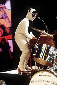 Image result for Elton John Daffy Duck Costume