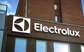 Image result for Electrolux Professional