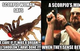 Image result for Funny Scorpion Memes