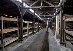 Image result for Concentration Camp Barracks