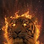 Image result for Rainbow Fire Tiger Wallpaper