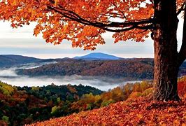 Image result for 1920X1080 Fall