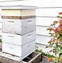 Image result for Small Bee Hive