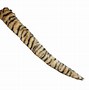 Image result for White Tiger Tail Costume