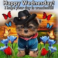 Image result for Funny Animal Wednesday Quotes
