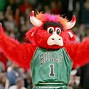 Image result for Chicago Bulls Mascot