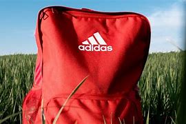 Image result for Adilette W Adidas