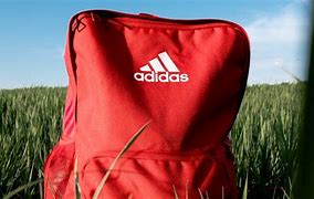 Image result for Adidas Sports Gear