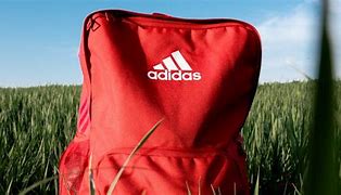 Image result for Adidas Orange Sneakers