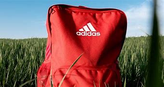 Image result for Rainbow Colour Adidas