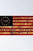 Image result for 1776 We the People Flag